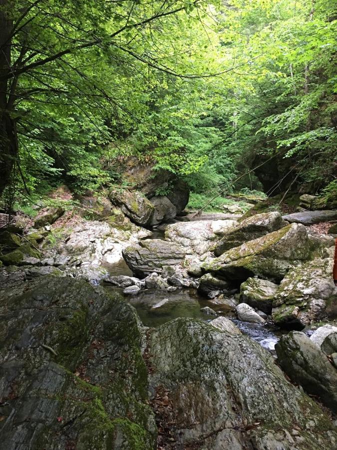 Ferienwohnung Raabklamm Arzberg Dış mekan fotoğraf