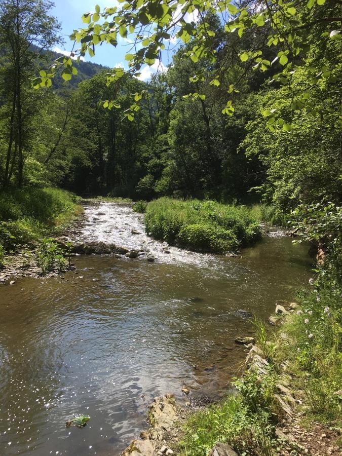 Ferienwohnung Raabklamm Arzberg Dış mekan fotoğraf